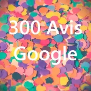 300 avis google