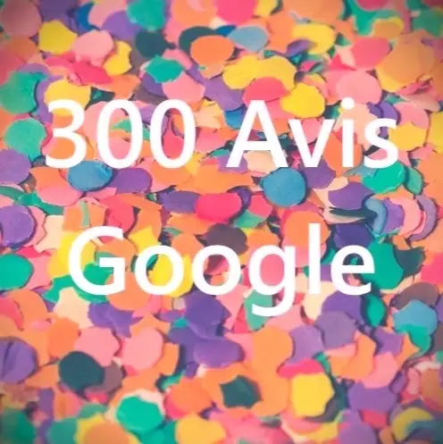 300 avis google